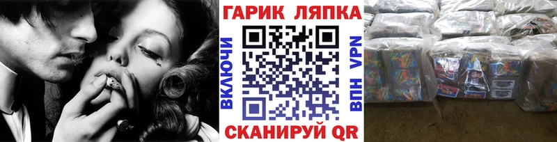 ГАШ Изолятор  Электрогорск 