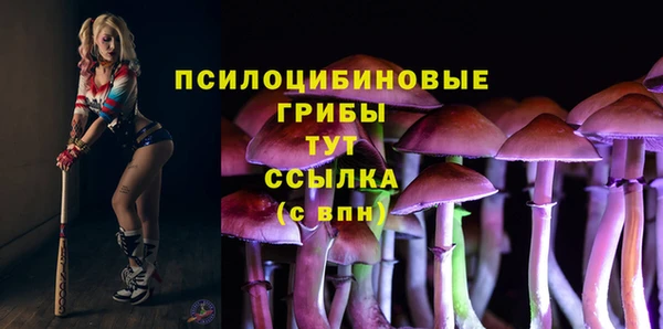 соль ск Армянск
