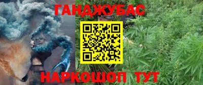a pvp Майкоп