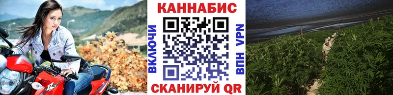 ОМГ ОМГ ТОР  Электрогорск  МАРИХУАНА гибрид 